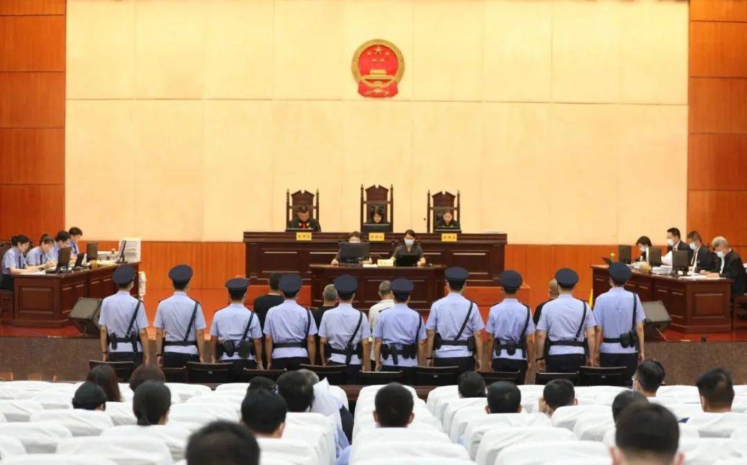 保护粮食安全政策,中央文件保护粮食安全