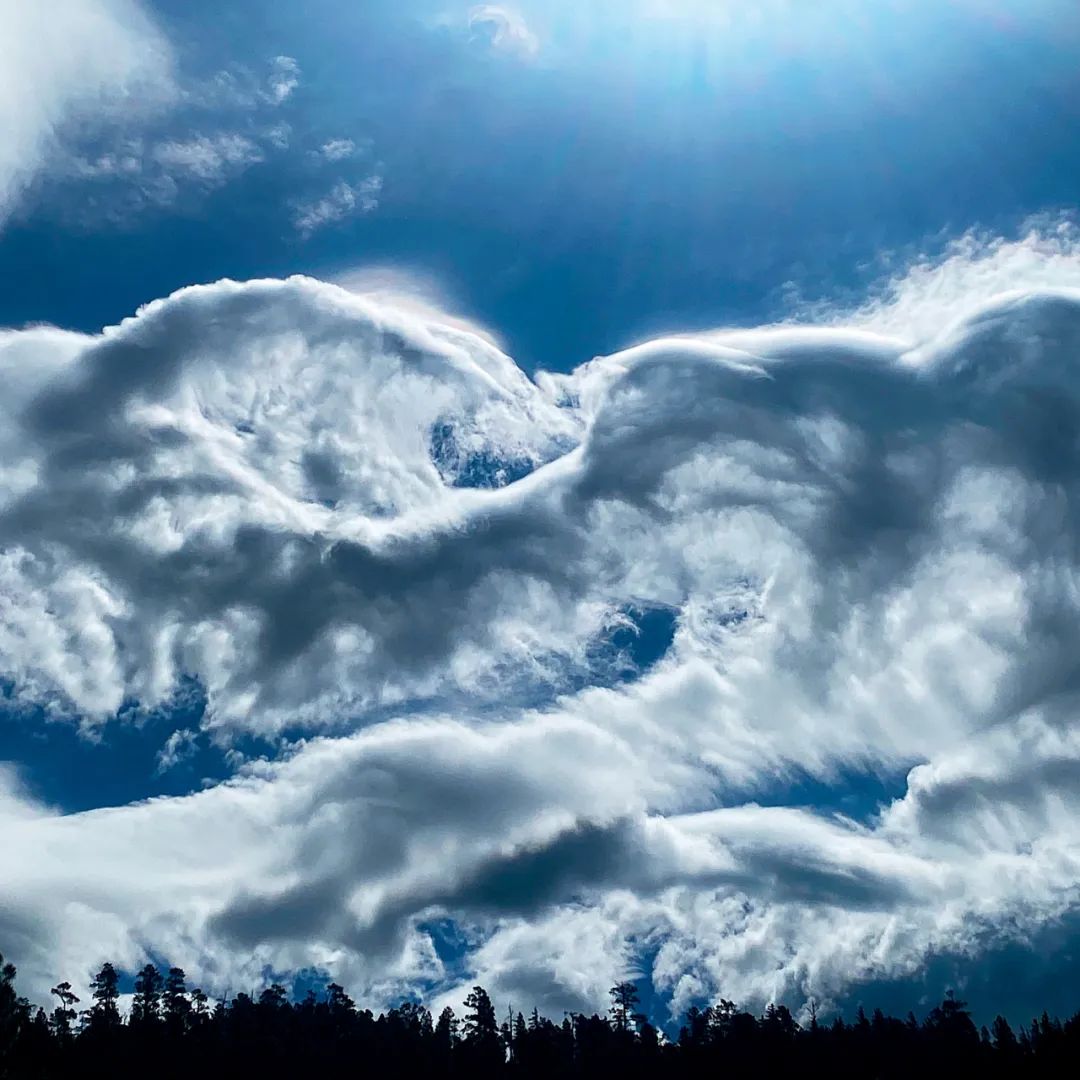 赏云协会入会多少钱,赏云协会怎么加入