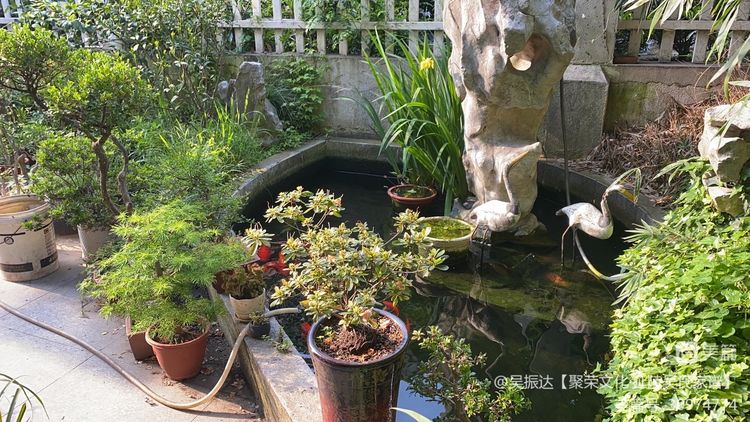 绿色是生命中的最美色彩