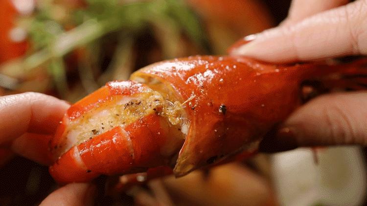 长沙餐厅高级小众餐厅,长沙经典别致餐厅