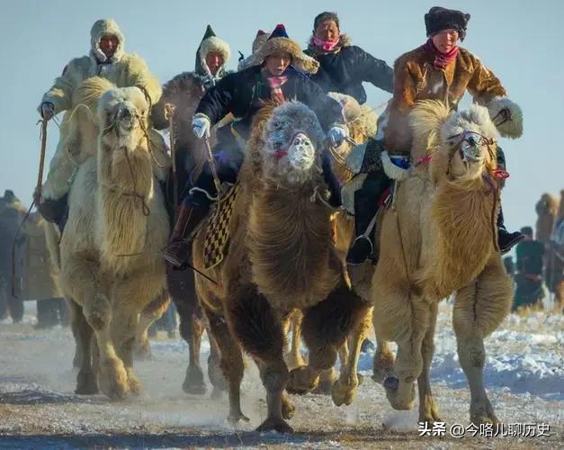 带你了解蒙古族,带大家了解蒙古族