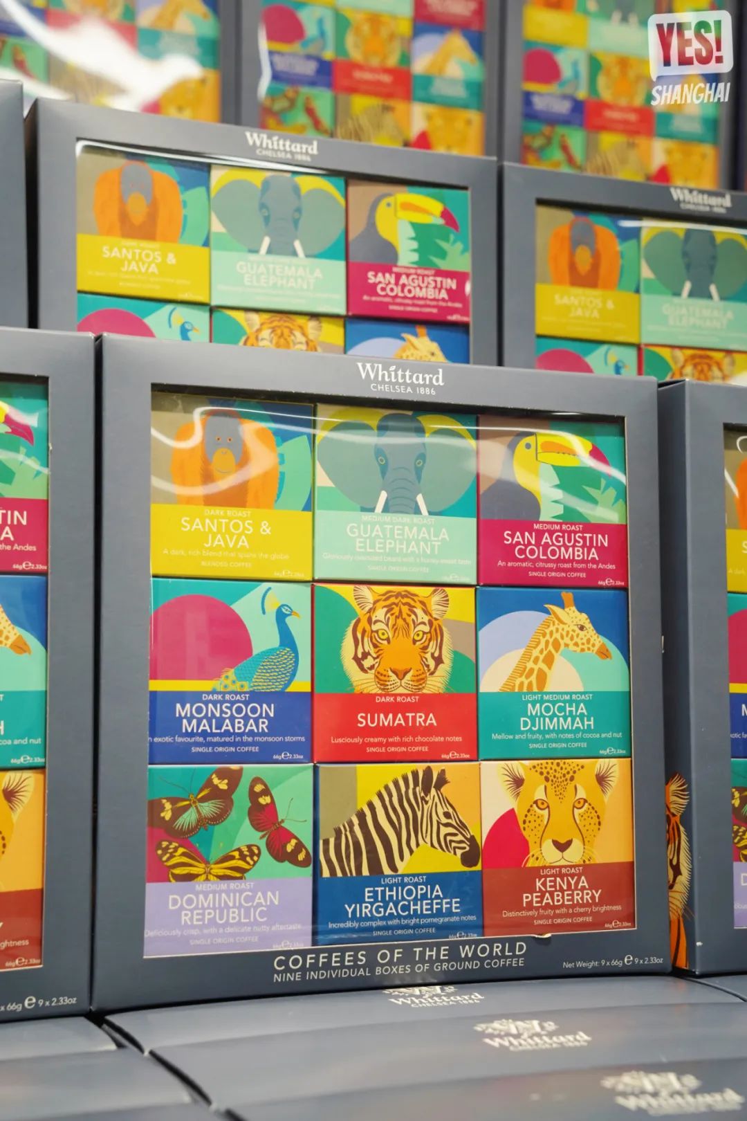 浦东盒马x会员店跨境店,上海第二家盒马x会员店