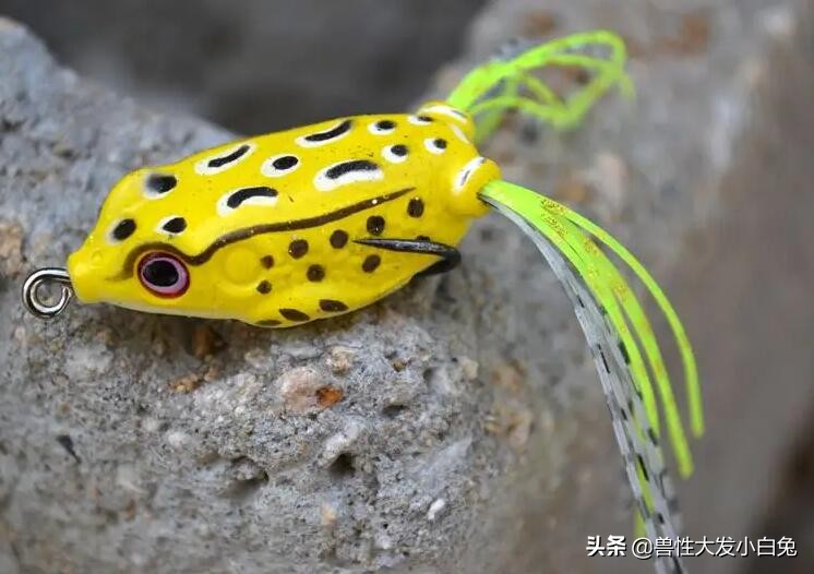 路亚鱼饵的介绍,路亚饵的全方面介绍