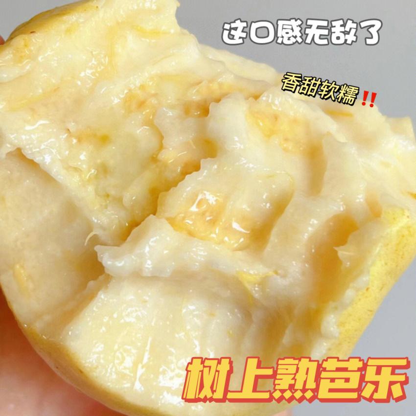 小零食低脂抗饿,抗饿小零食推荐