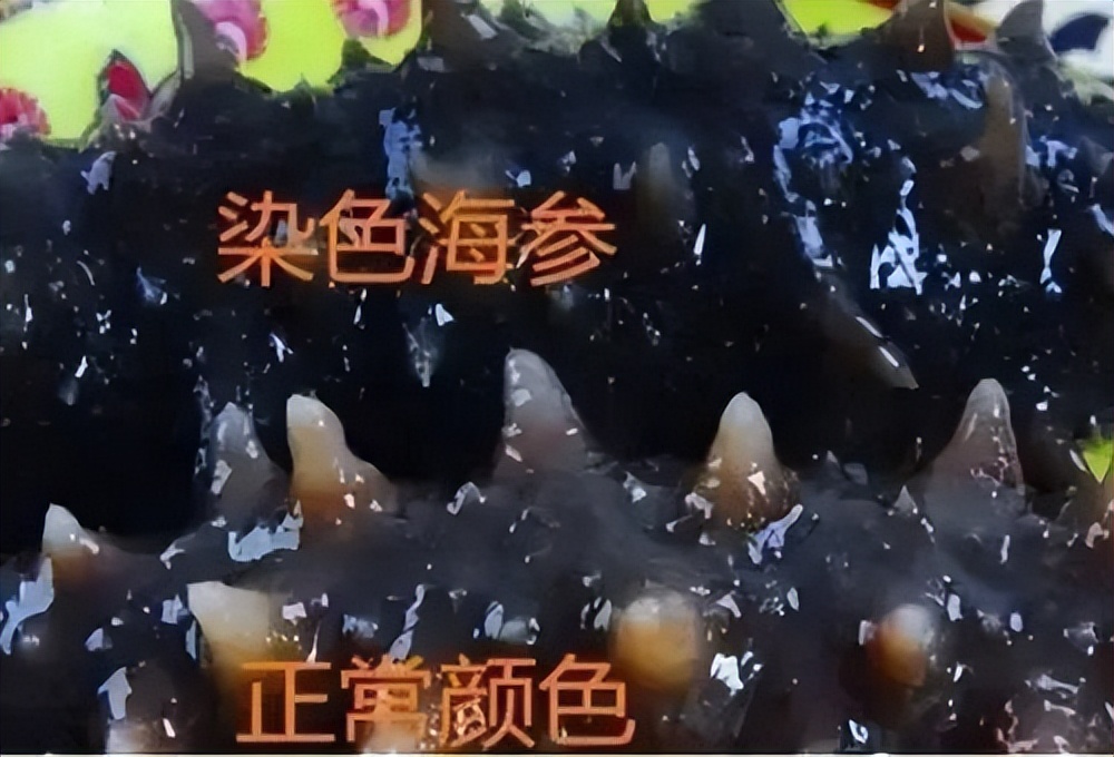 用海参下脚料造假海参 (造假的海参和真海参)