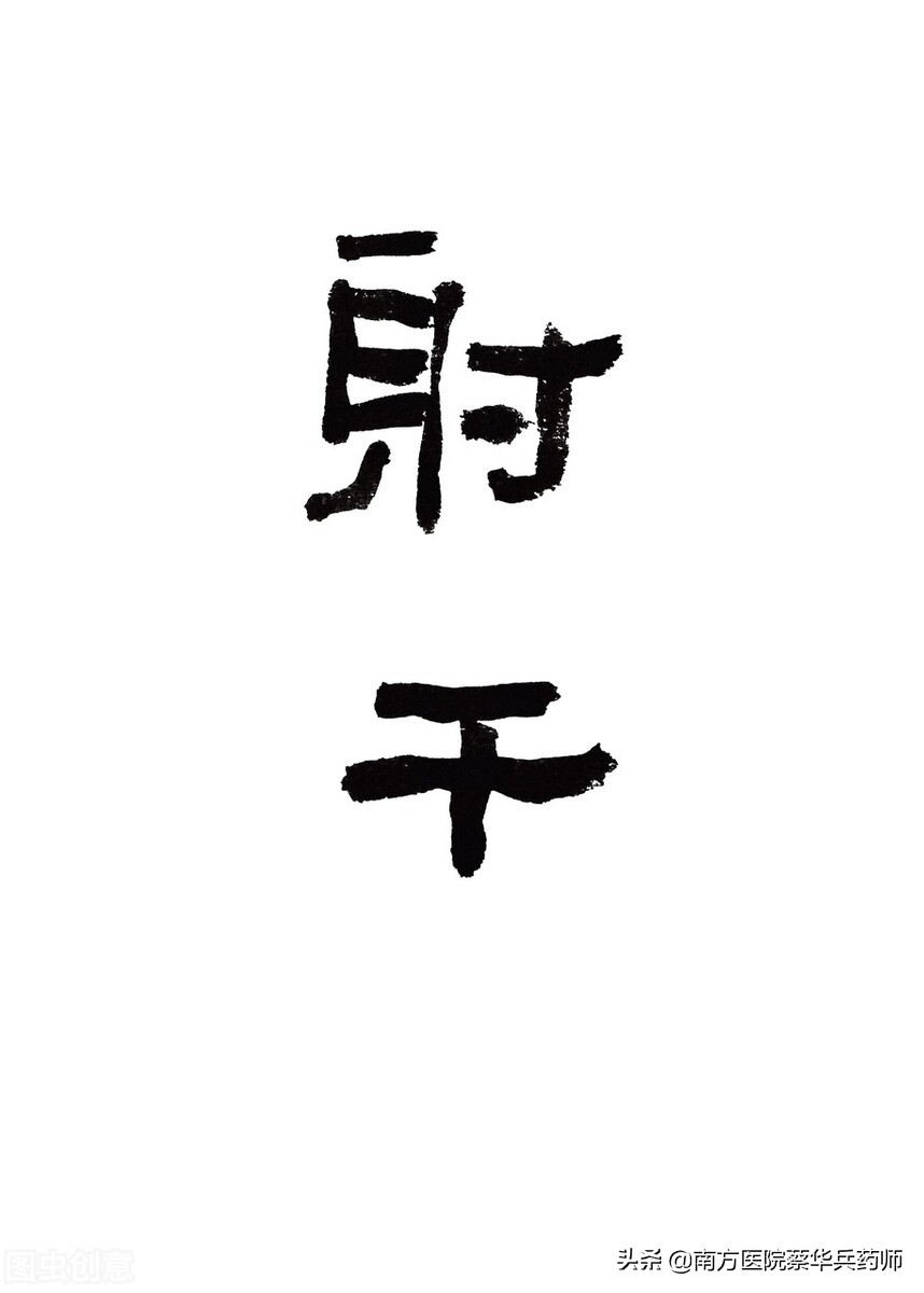 止咳化痰的一种花,止咳化痰的黄色花