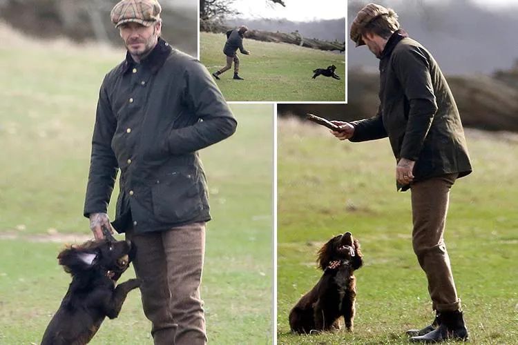 老钱风女性穿搭,老钱风穿搭为什么这么火