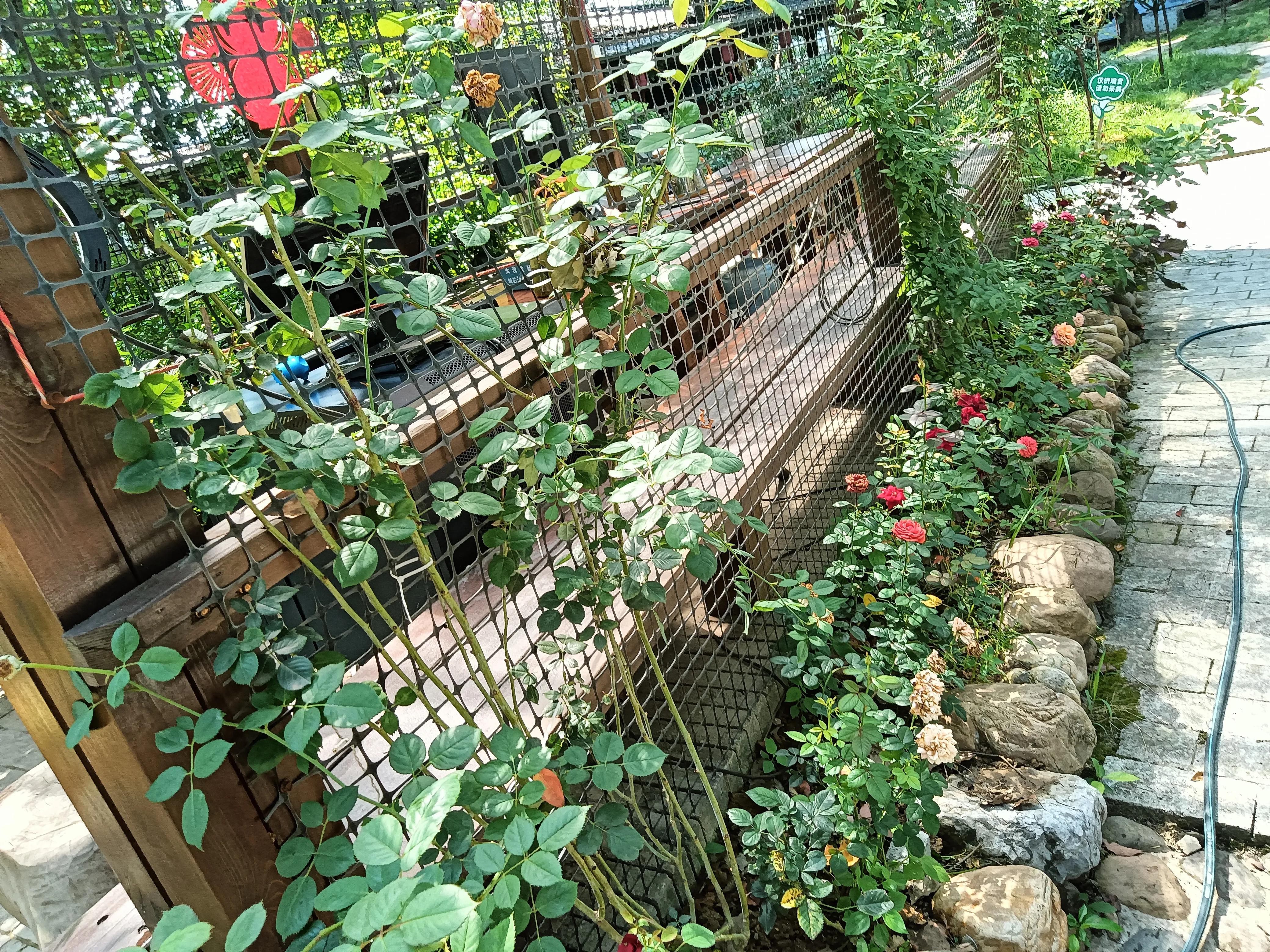 婚后偷偷补贴娘家三年,老公坚决离婚我拿钱补贴娘家