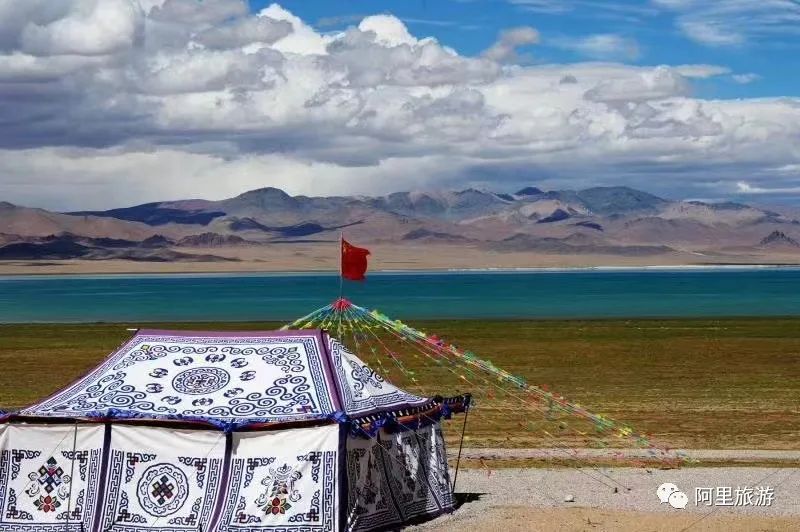 西藏最近很火的大地之树,网红大地之树