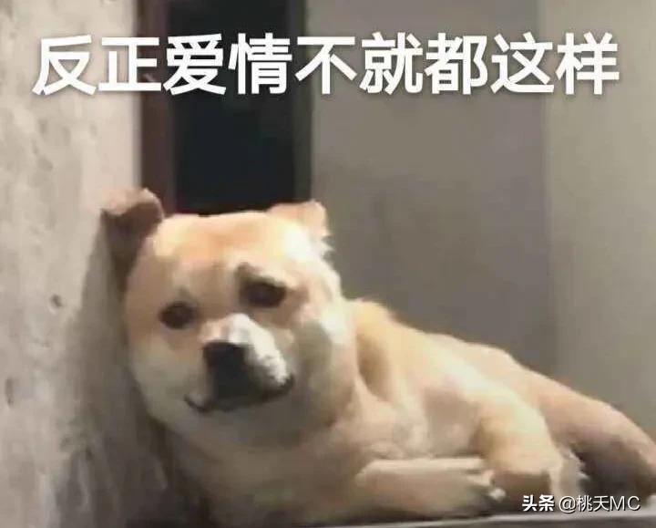 男人一辈子不结婚的生活,男人一辈子不恋爱会怎么样