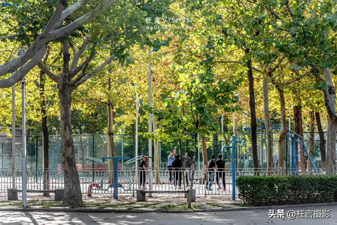 天津二宫开了吗,天津二宫改造后的景观