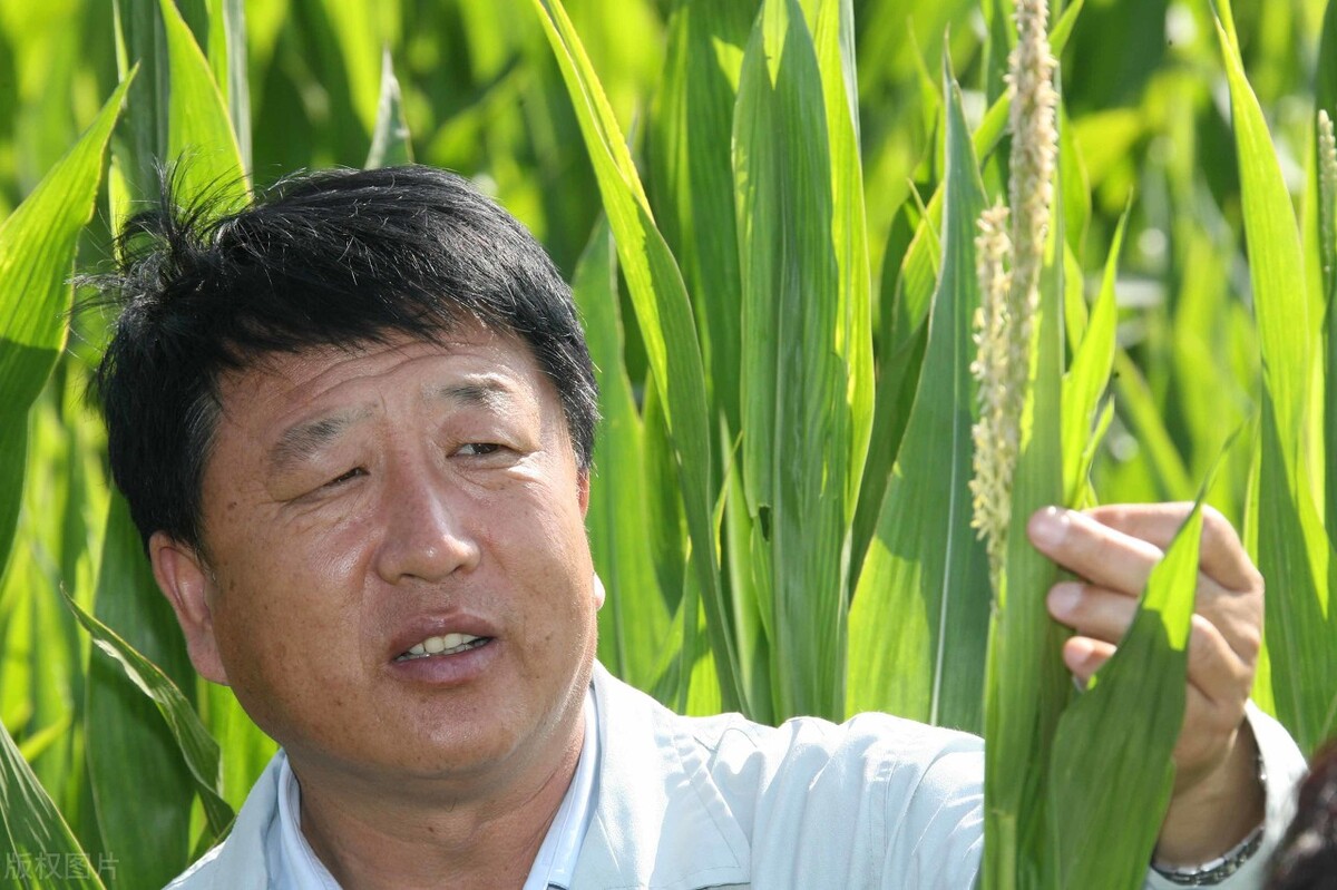 初中毕业的庄稼汉，成为十几亿资产公司的董事长，还是觉得大葱蘸酱最好吃