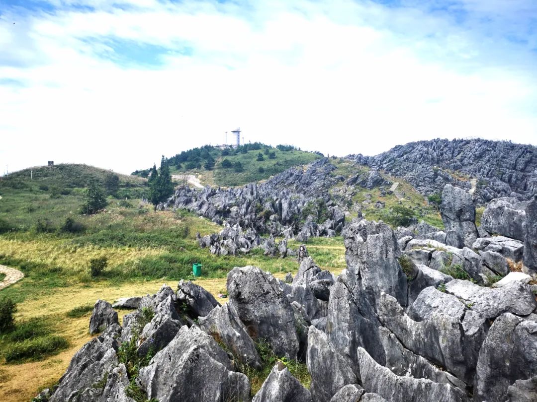 利川黄水镇,石柱黄水是个避暑的好地方