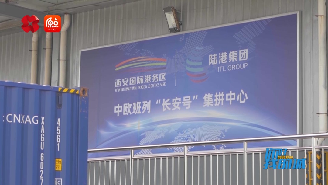 你好我的城,你好我的城在线观看