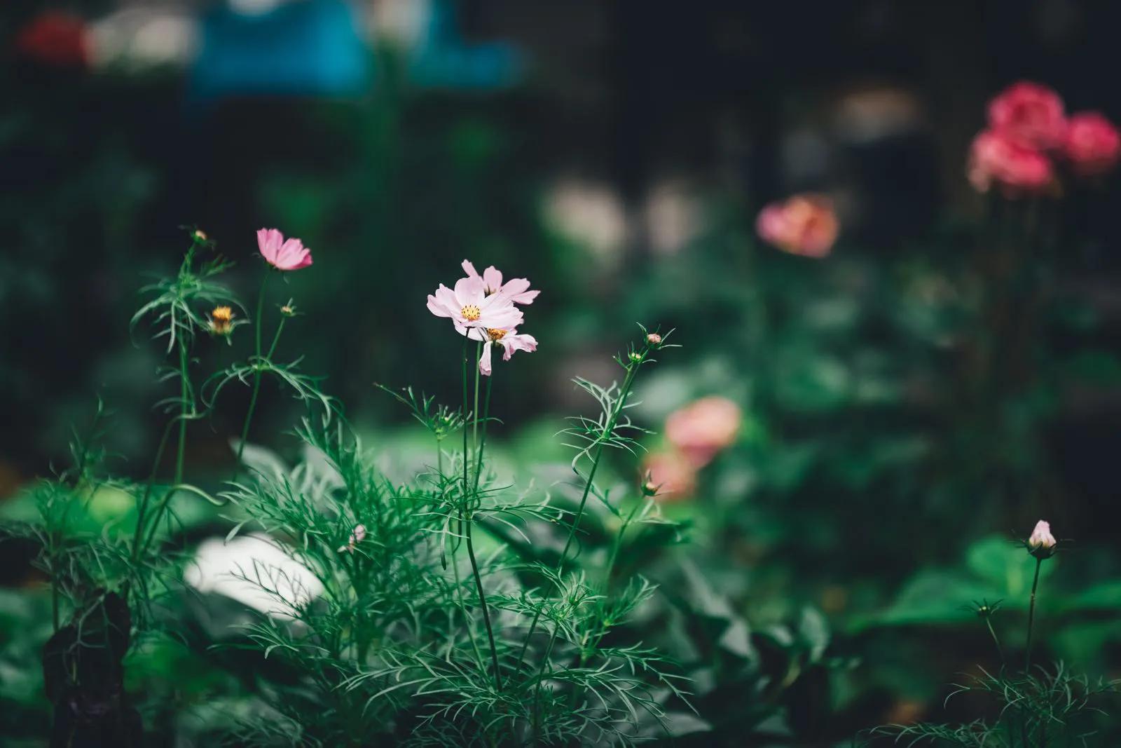 5.30号是什么日子,5.30号什么日子