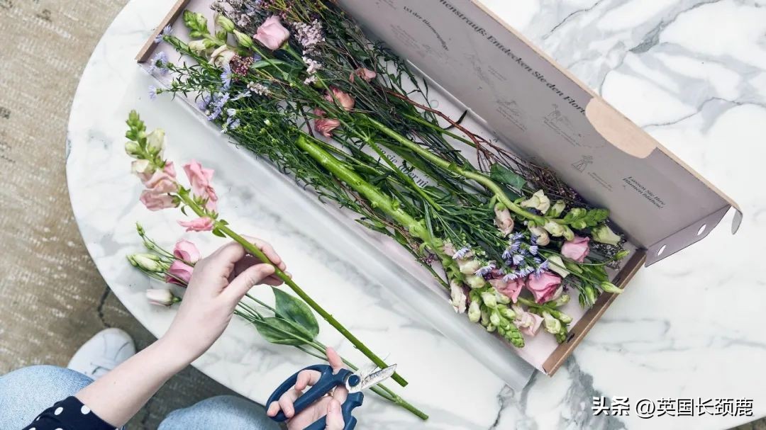 全英线上订花攻略：情人节限定fafa～爱你的心用花表示！