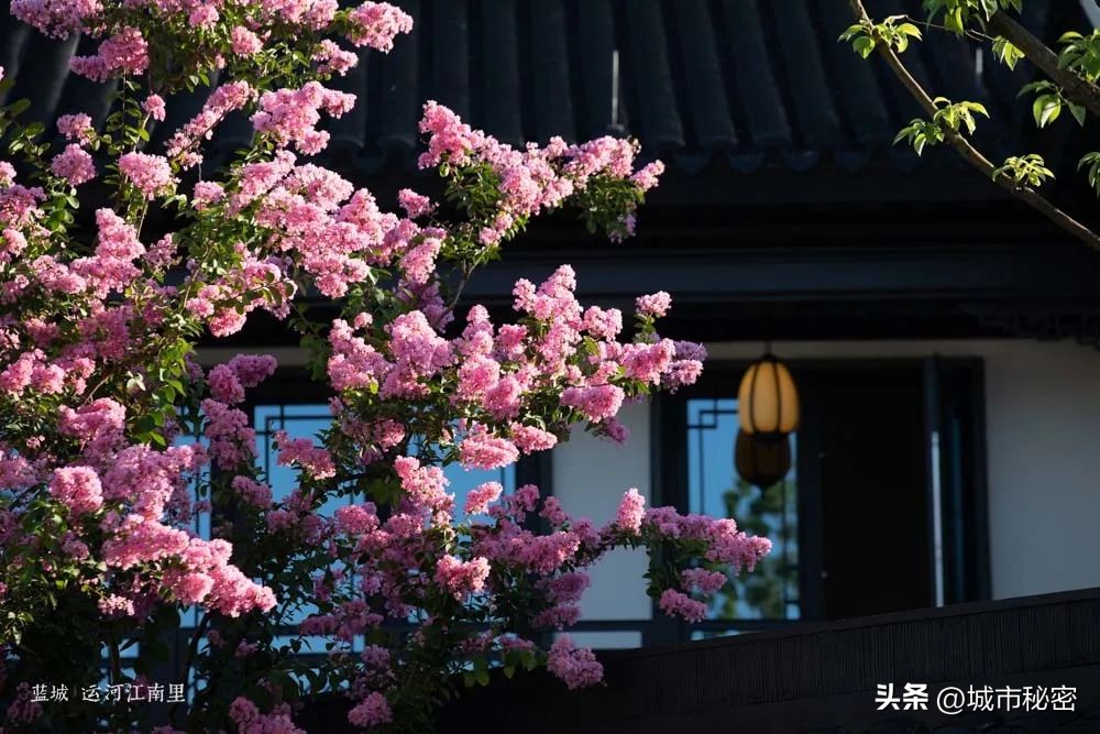 什么是城市有机更新改造,什么是城市有机更新