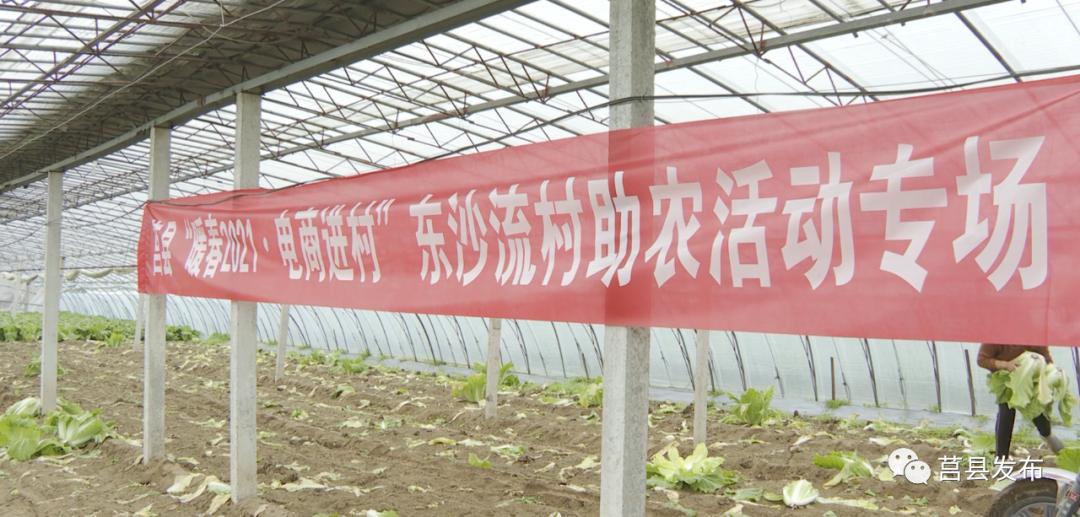 “电商能人”张守军