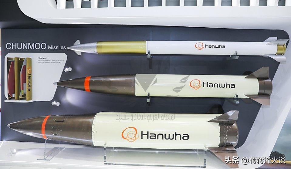 波兰m270火箭炮,波兰m270