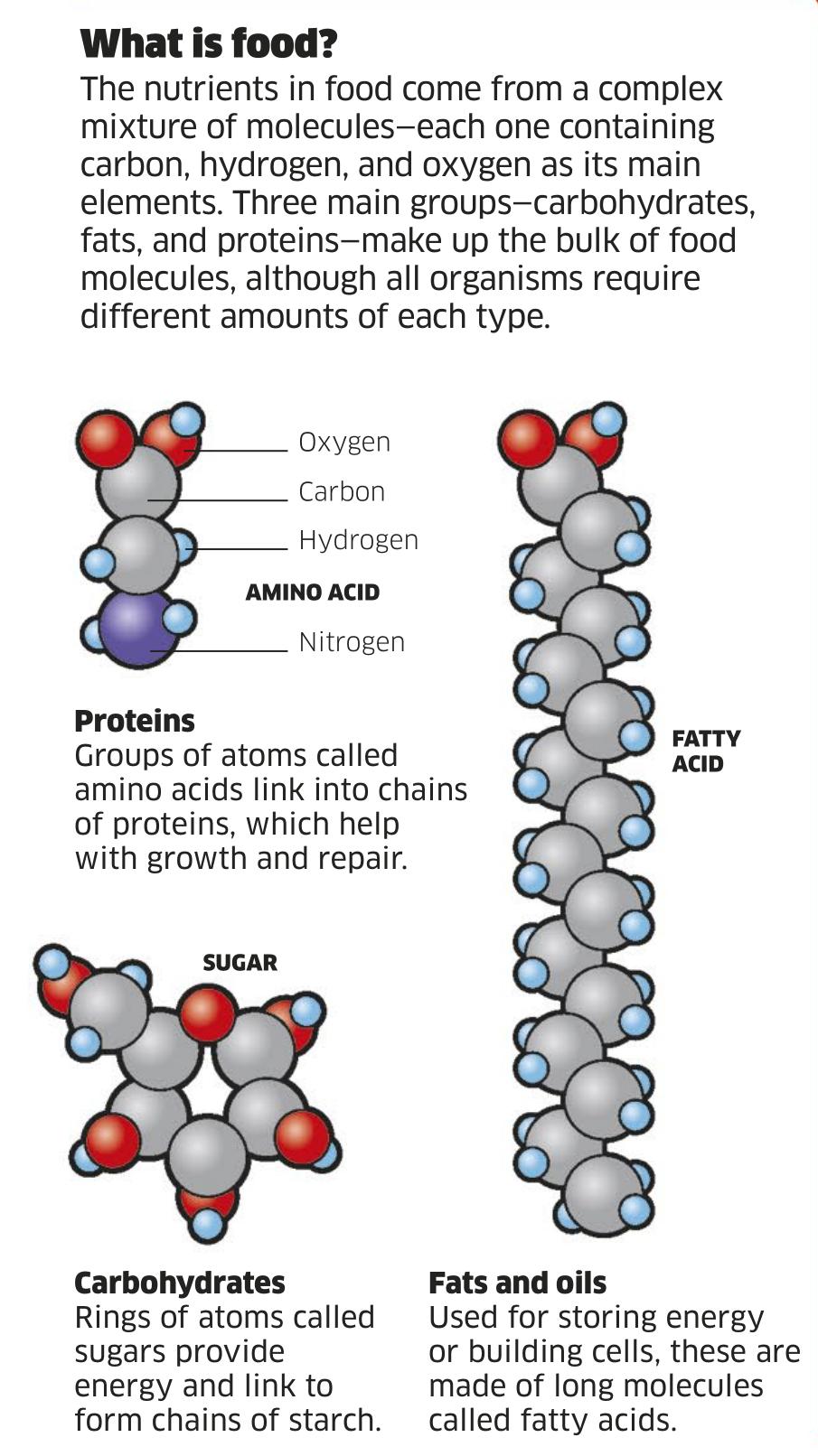学好数理化英语,初中数理化好英语差高中能学好吗
