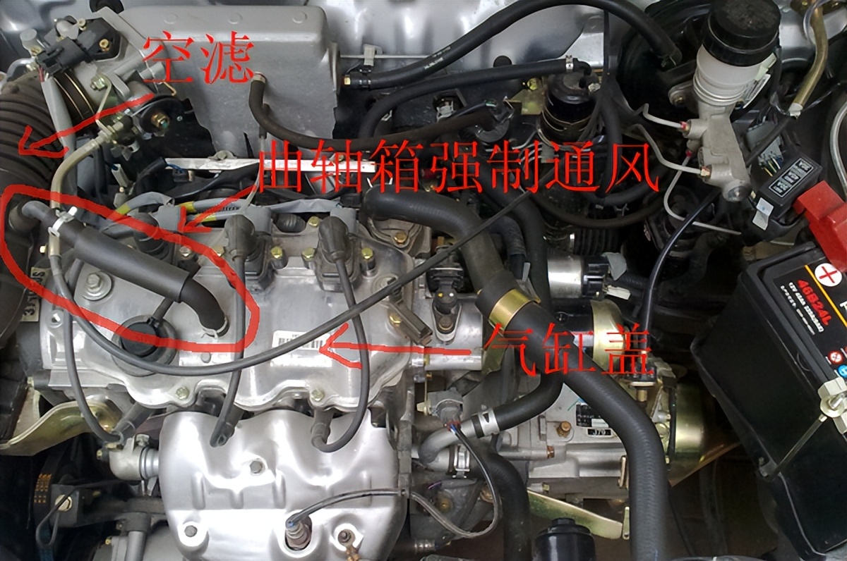 到底靠不靠谱？店里洗要花300多，自己洗三元只要30元