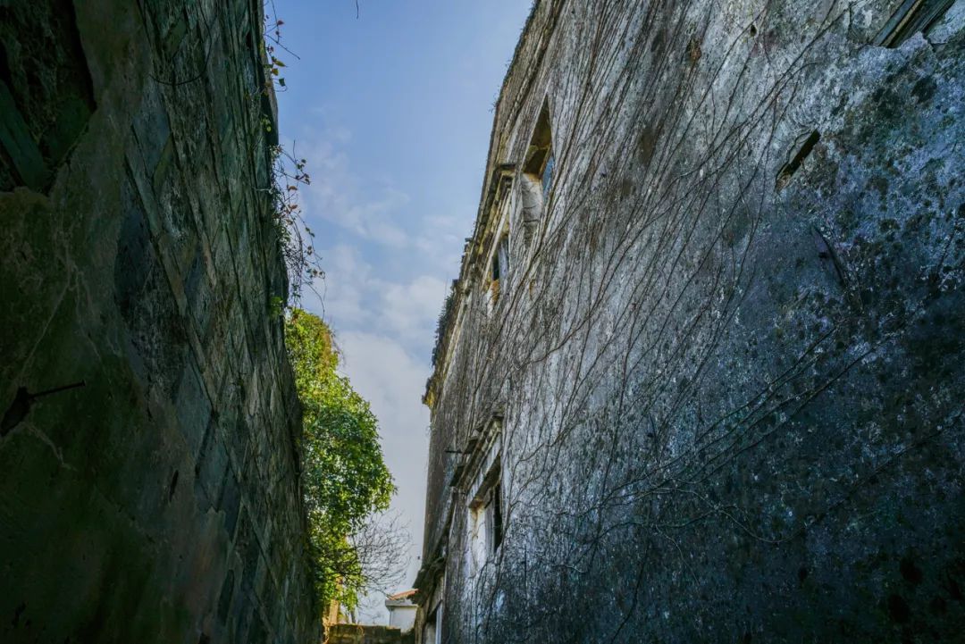 太湖西山岛冬季旅游攻略,苏州太湖西山岛有什么玩的