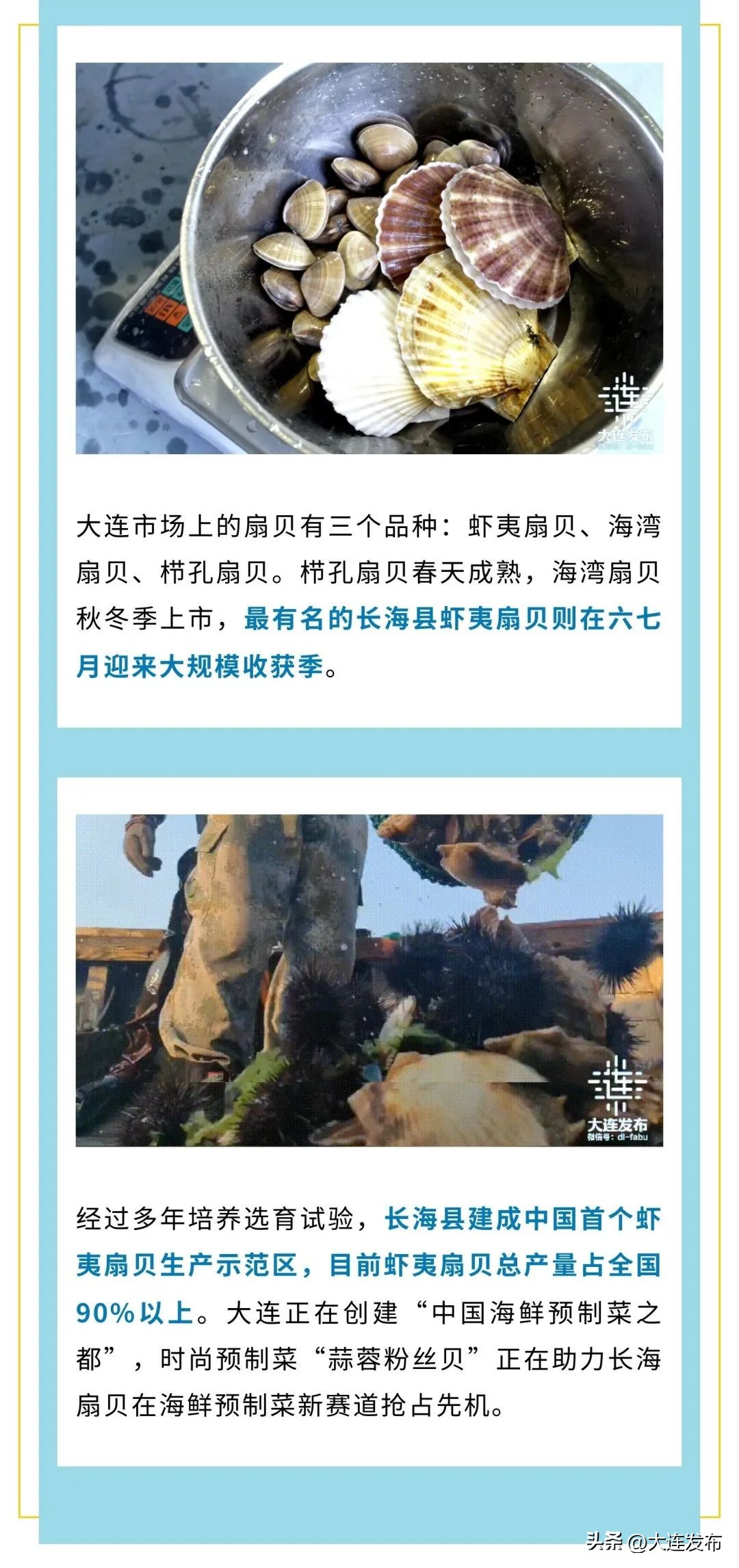 实现海鲜自由的秘诀,实现海鲜自由另一种说法