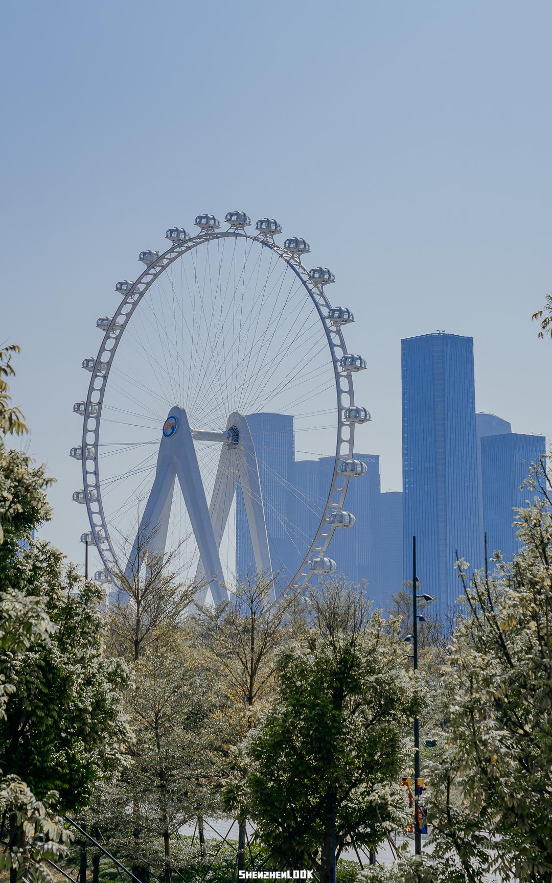 大美深圳全部视频,大美宝安