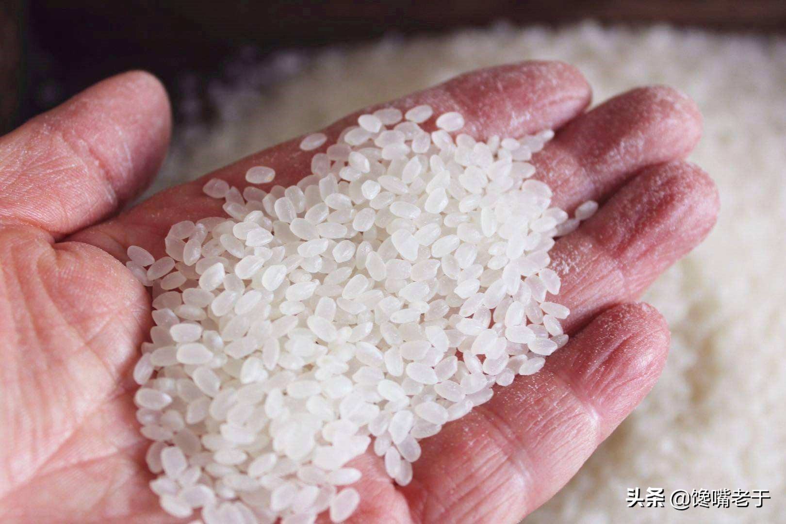 如何辨别新米还是陈米,如何辨别薏仁米是新米还是陈米