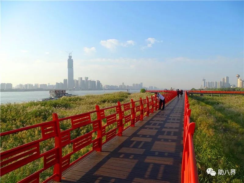 武汉必打卡的十大景点介绍,武汉南湖网红打卡景点