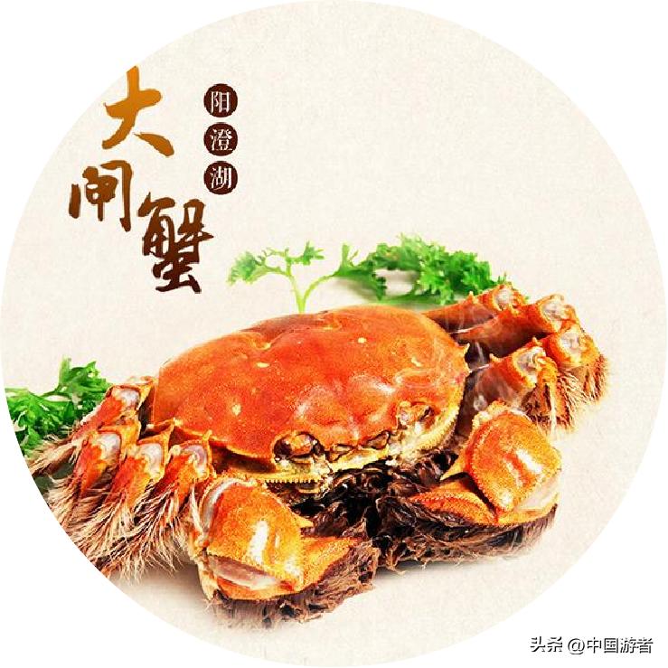 夜泊枫桥在寒山寺里面吗,寒山寺夜泊枫桥全景