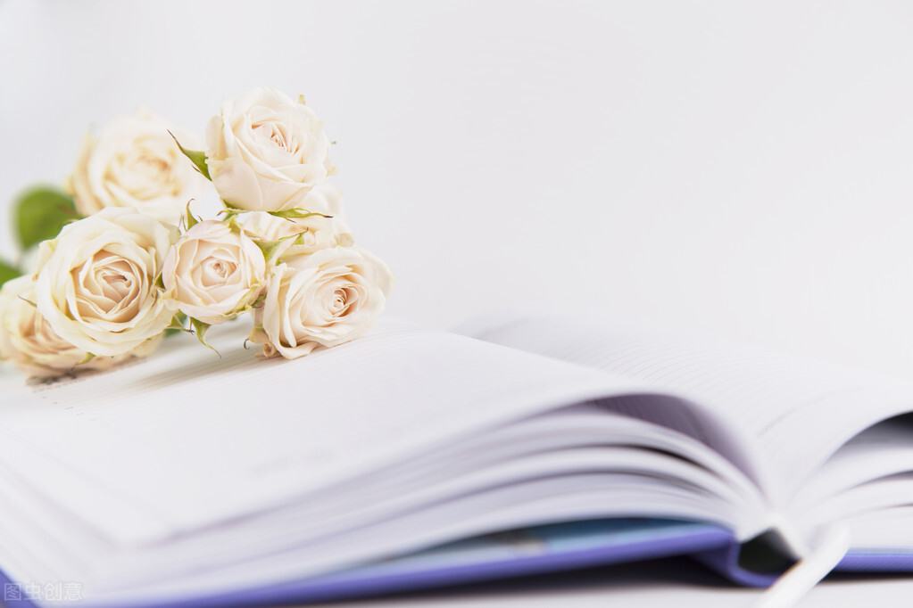 优美开头结尾摘抄大全初中生,初中生最适合用的万能开头结尾