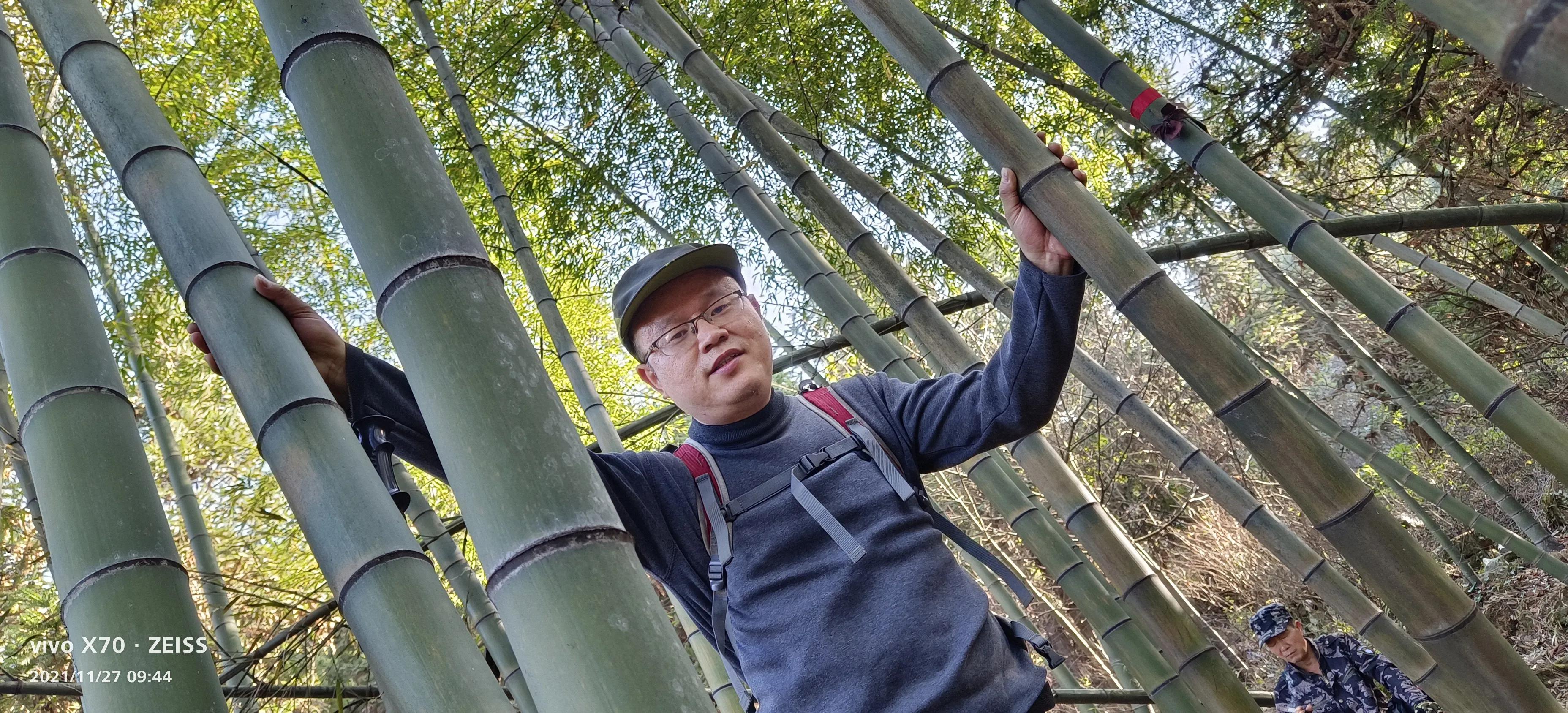 环岱山全程徒步要多久,新邵龙山自驾怎么走