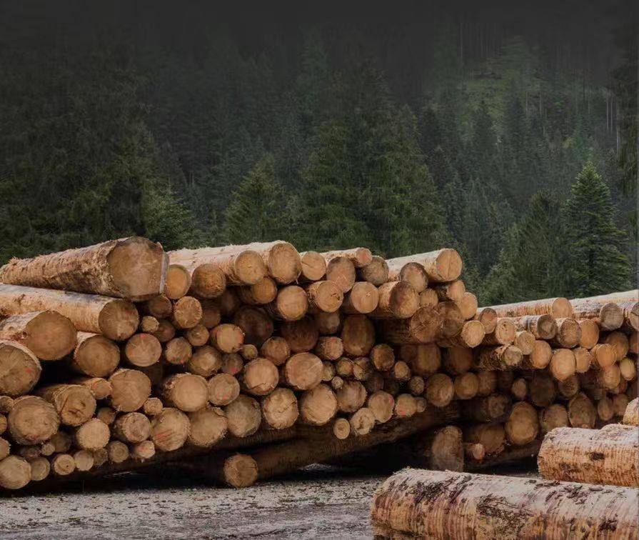 澳思柏恩欧松板,澳思柏恩板材环保