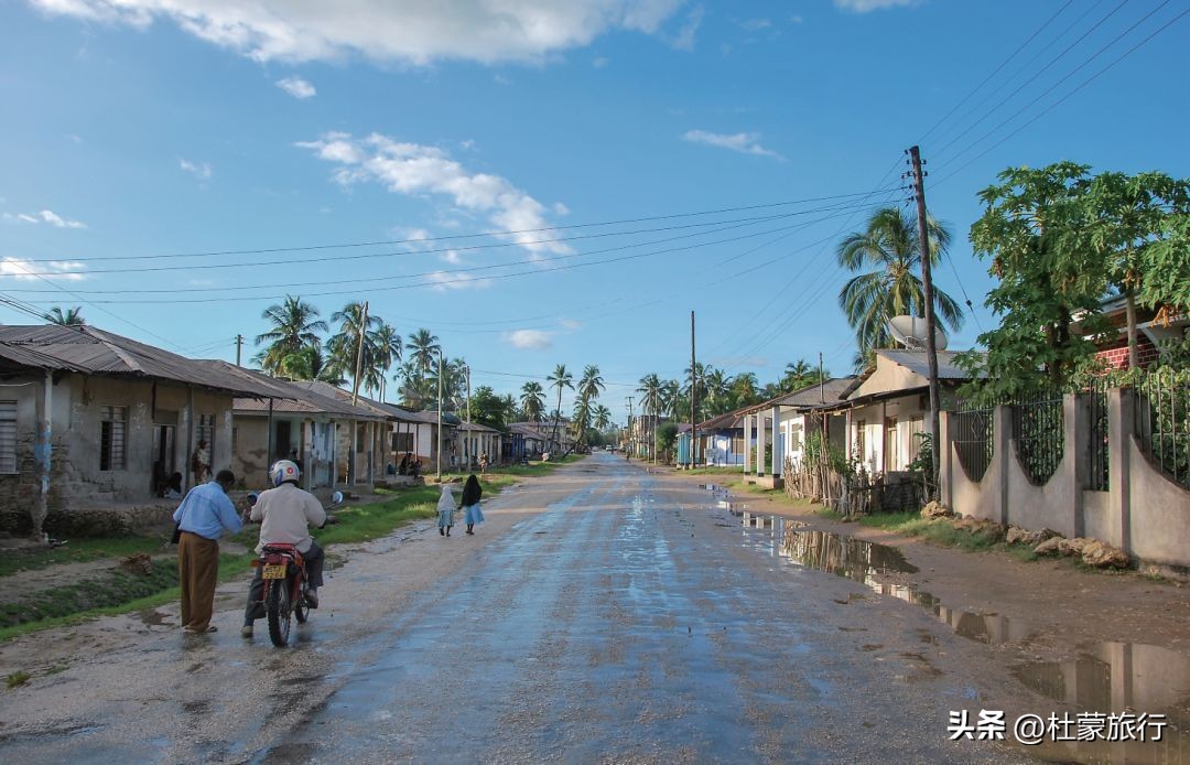 跟随“中国狮子王”，到坦桑看绝色非洲