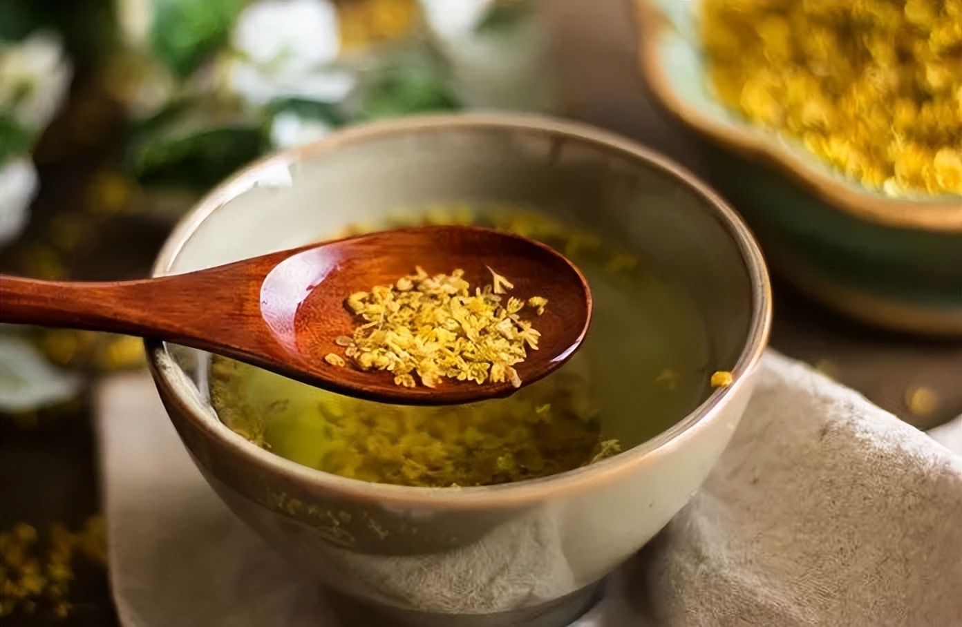 中医人眼中的桂花，邀您共饮桂花香（上集）