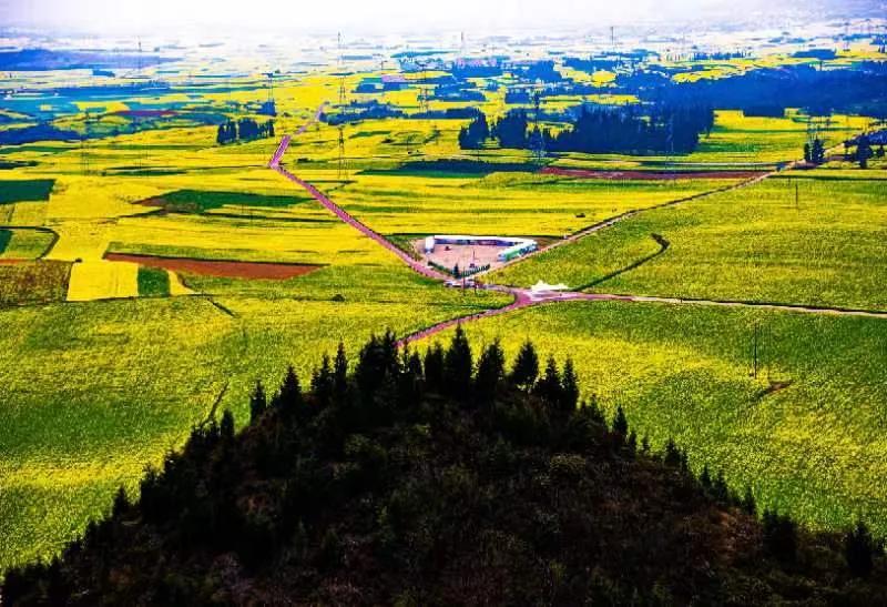 买基金最忌讳的一条,买基金犯什么错误