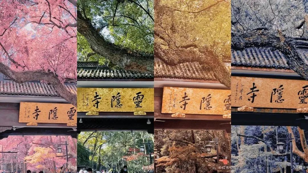 2019年旅游市场基本情况发布,我国目前三大旅游市场的情况