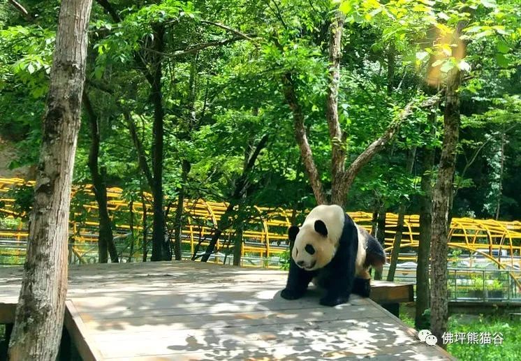 在汉中六一适合带孩子吃什么,提醒幼儿注意身体六一