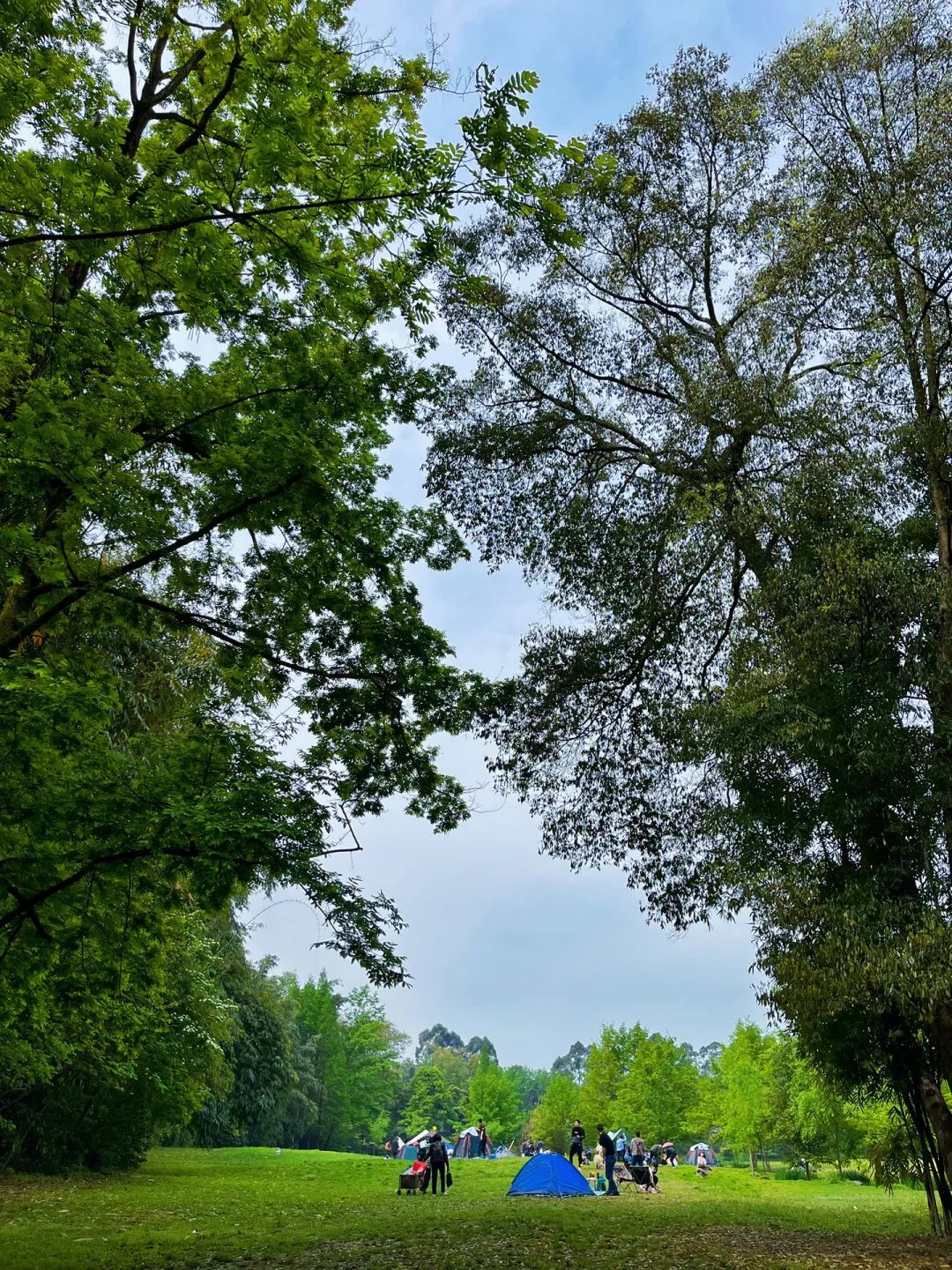 成都周边夏季周末好去处,端午成都周边游推荐
