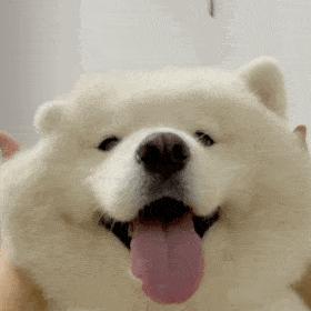 英语学习｜大学里可以参加的英语考试和竞赛汇总