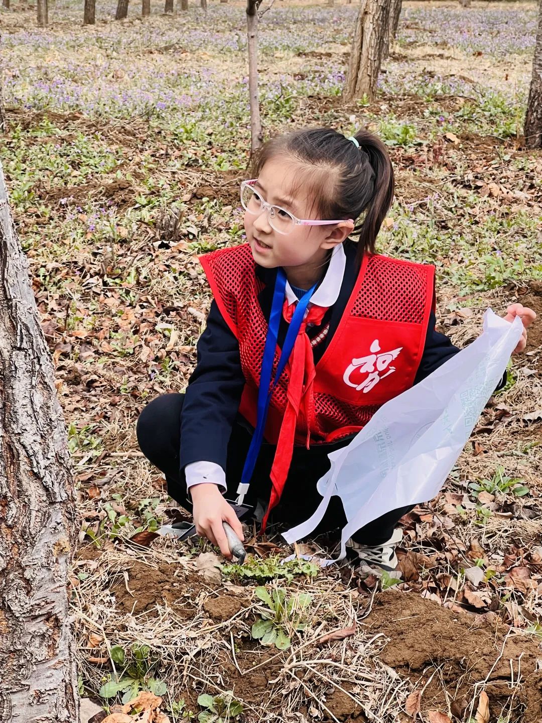 科学少年中国行·让生命站立成树研学活动——种植绿色希望，品读自然之书
