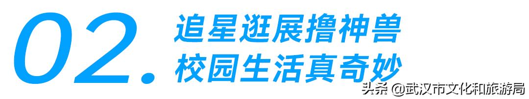 大江大湖千湖大武汉,大江大湖大武汉浩浩荡荡