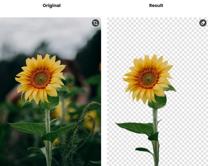 很好用的抠图软件有什么,proknockout智能抠图手动抠图
