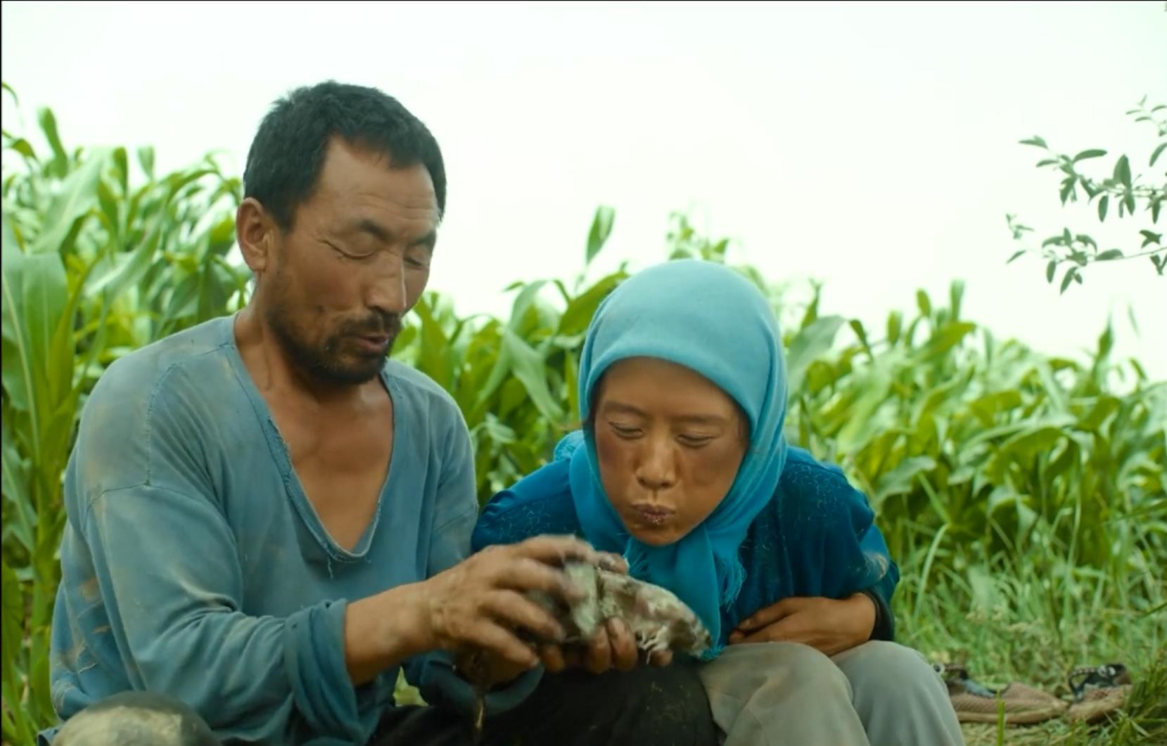 《隐入尘烟》全片观后感，隐隐的钝痛、压抑，仿佛没有希望