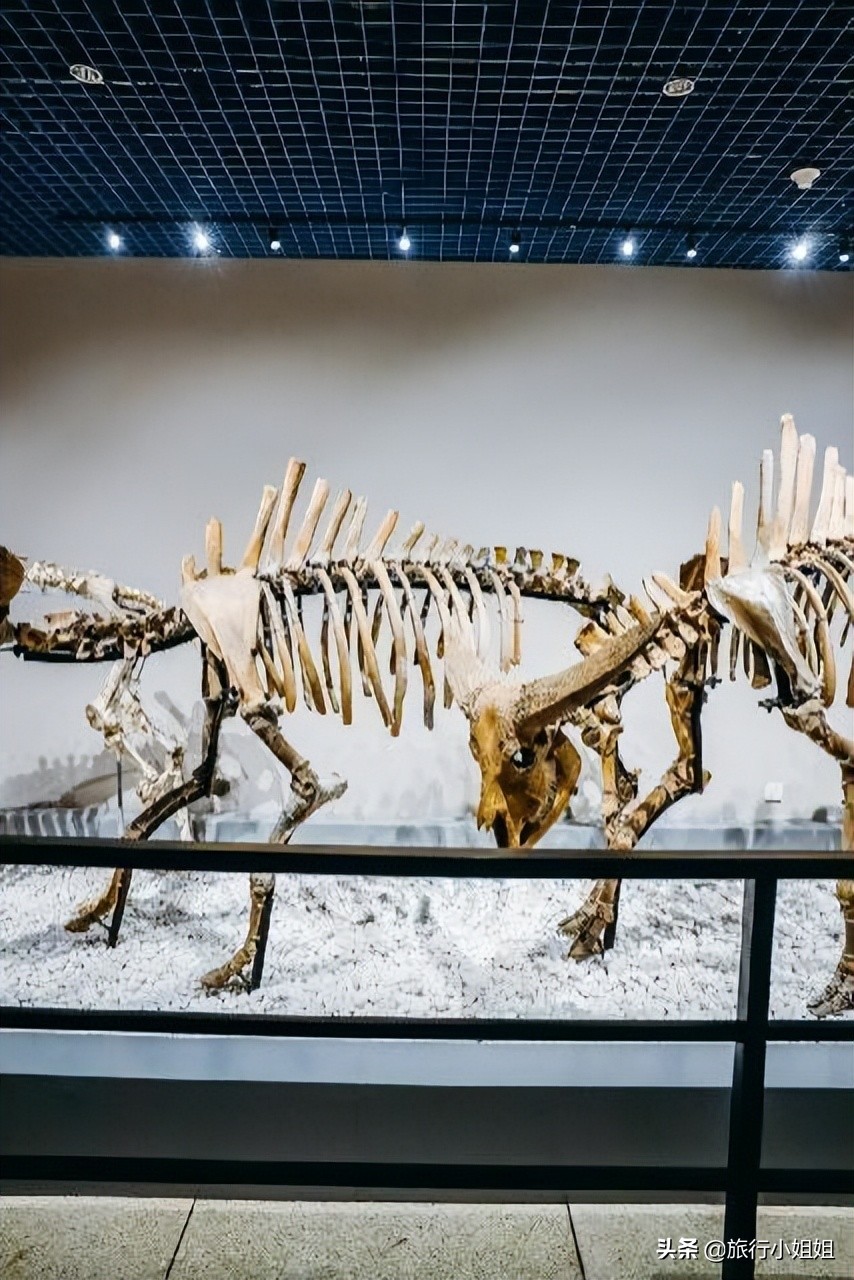 夏日海边微醺氛围感,滨城风光秀丽浪漫气息爆表