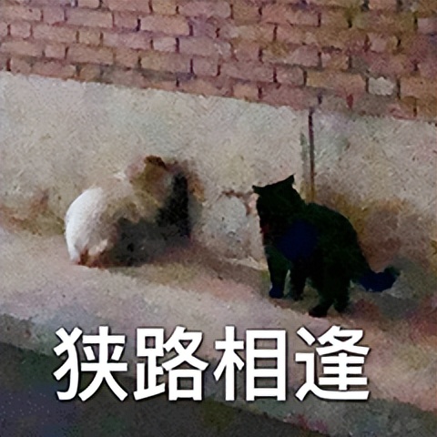 遛机械狗兼职,遛机械狗