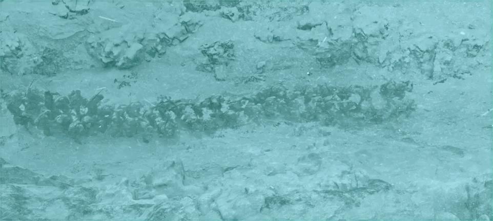 铁证如山,铁证如山现场版