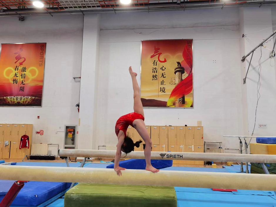 菏泽省运会冠军奖项,菏泽省运会奖牌