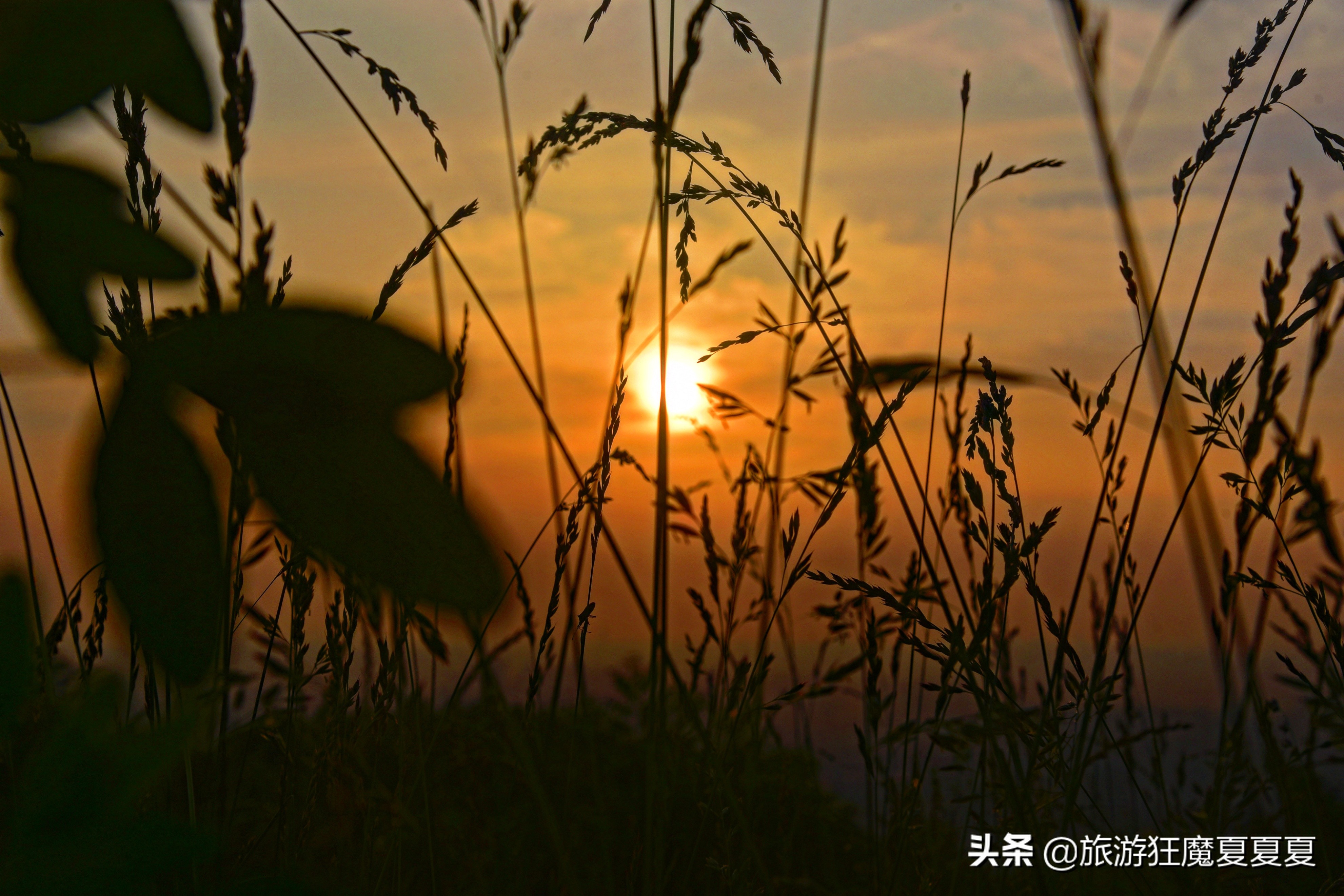 成都龙泉山火到半夜都堵车？跟风夜爬大可不必，这样才有绝美日出